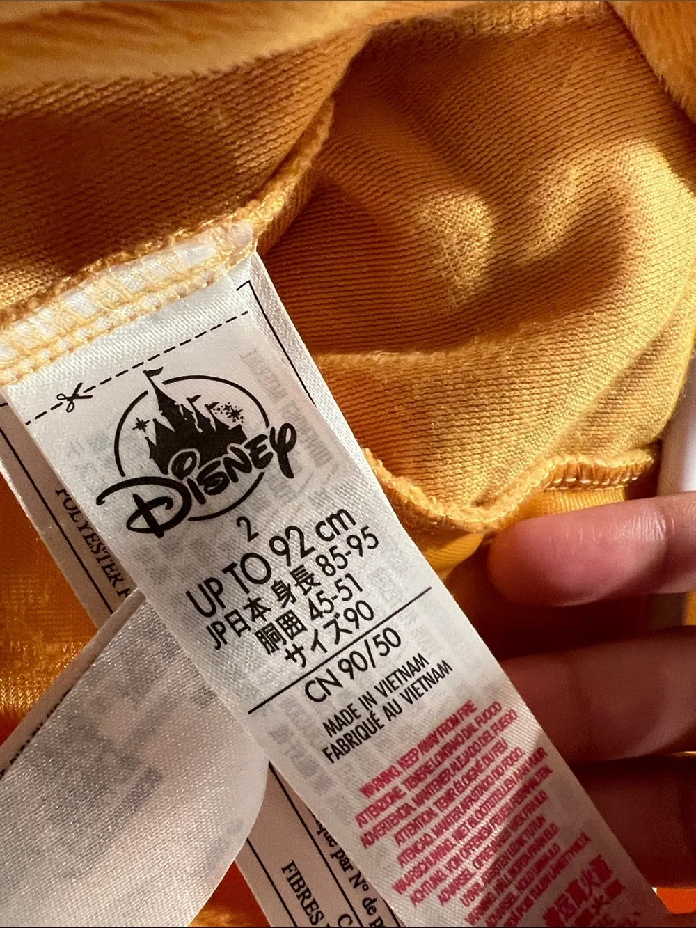 Disney Orange and Yellow Simba Plush Hooded Costume